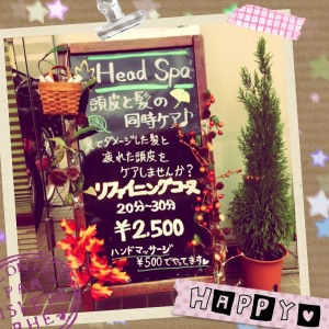 ヘッドスパおすすめメニュー☆