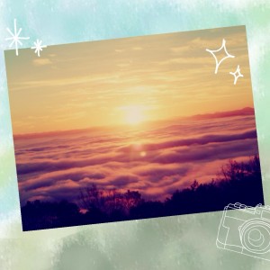 ☆年末年始のお知らせ☆