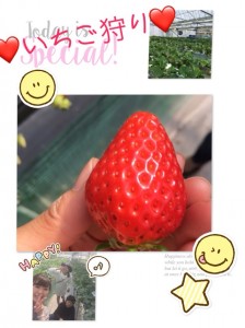 美容室　小宮　SunLuce　いちご狩り♡