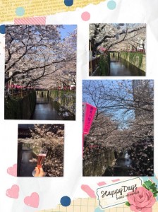 SunLuce 小宮　美容室　お花見♪