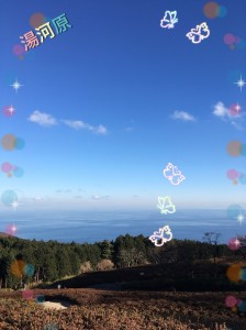 今年最後の。。。