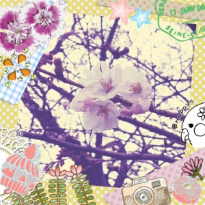 桜♡