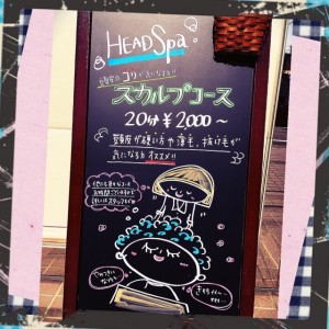 今月のおススメヘッドスパ♪
