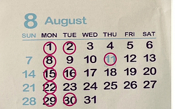 SunLuce 8月のお休み