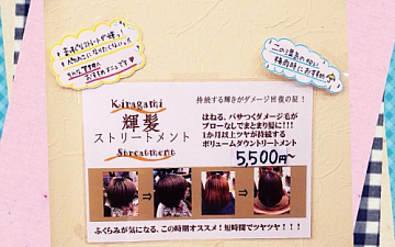 SunLuce 梅雨入り前に。。。