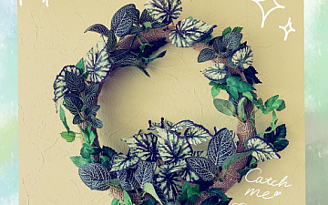 SunLuce ~6月のお休み~