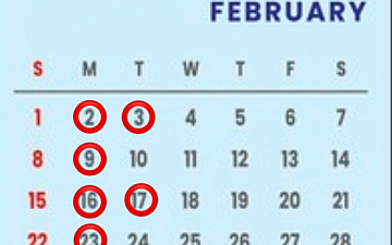 SunLuce 2月のお休み