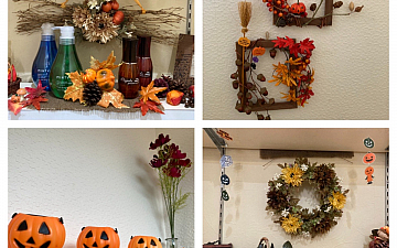 SunLuce 秋に向けて