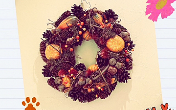 SunLuce ~11月のお休み~