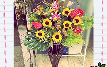 SunLuce  おかげさまで10周年デス!