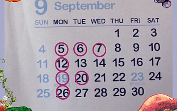 SunLuce 9月のお休みのお知らせ