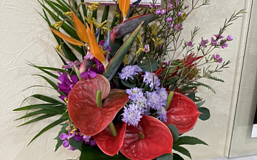 SunLuce 素敵なお花たち PartⅡ